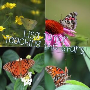 Stock Photos: Common Garden Butterfly Photos