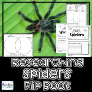 Spiders Research Flipbook