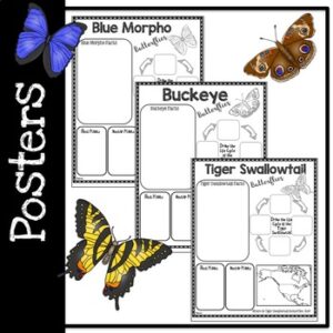 Butterfly Research Guides