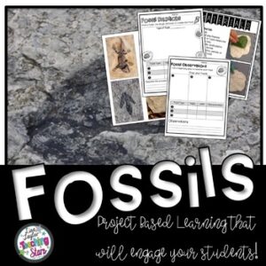 Fossils Science Resources