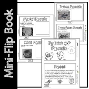 Fossils Science Resources