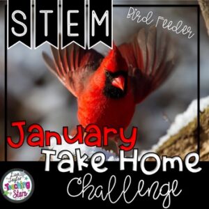 STEM January At Home Challenge