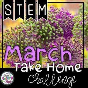 At Home March STEM Challenge
