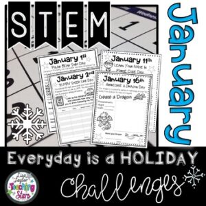 January STEM Challenge: Everyday is a Holiday