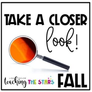 Fall Picture Observations | Remote Learning | Google Slides