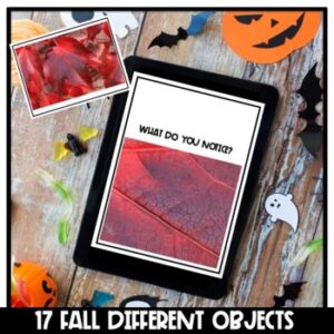 Fall Picture Observations | Remote Learning | Google Slides