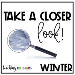 Winter Picture Observations | Remote Learning | Google Slides