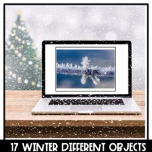 Winter Picture Observations | Remote Learning | Google Slides